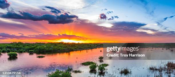 everglades sunburst at sunset - parque nacional everglades fotografías e imágenes de stock