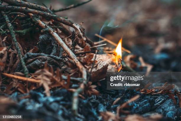 the beginning of a forest fire due to the ignition of a dry leaf and branches in an autumn forest close-up. flame of fire in nature, risk of natural disaster in woodland or taiga - arson foto e immagini stock