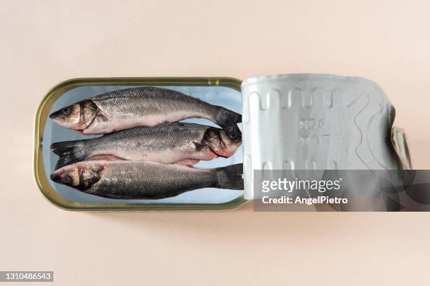 canned fresh fish - en cuisine stock pictures, royalty-free photos & images