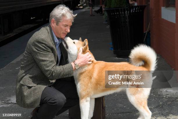 Richard Gere actor and producer of the film Hachi: A Dog's Tale, chats with Hachi the dog in Providence, Rhode Island on June 3, 2008. Lasse...