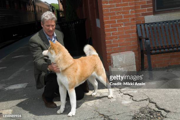 Richard Gere actor and producer of the film Hachi: A Dog's Tale, chats with Hachi the dog in Providence, Rhode Island on June 3, 2008. Lasse...