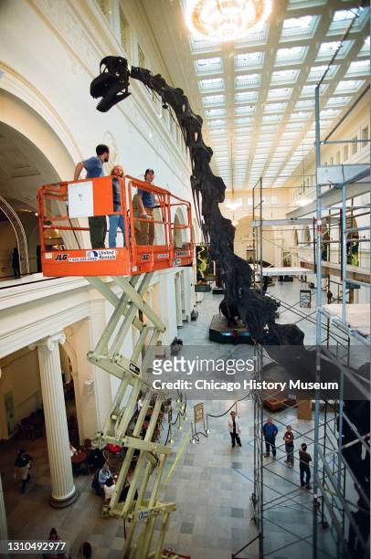 Field Museum staff dismantle the Brachiosaurus model to make room for Sue, the Tyrannosaurus Rex, 1400 South Lake Shore Drive, Chicago, Illinois,...