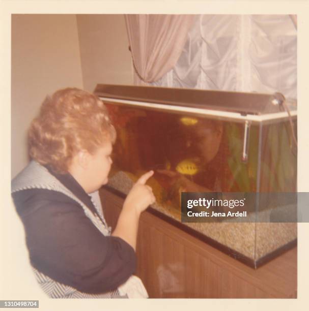 vintage woman with beehive hairstyle next to fish tank, candid vintage photograph - beehive hair stock pictures, royalty-free photos & images