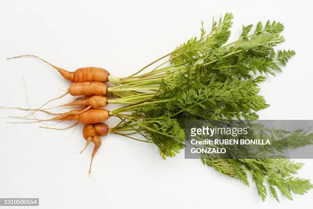 close-up studio shot of organic carrots on white background - carrots white background stockfoto's en -beelden