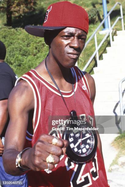 Flavor Flave of Public Enemy poses during KMEL Summer Jam at Shoreline Amphitheatre on August 13, 1994 in Mountain View, California.