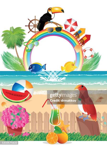 beach and rainbow - king bird of paradise stock illustrations