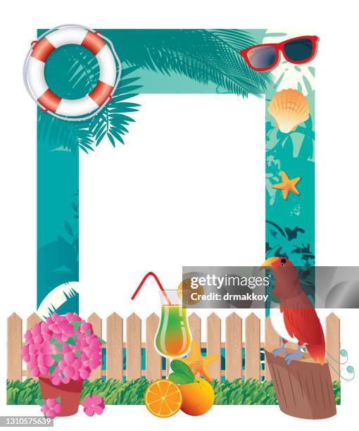 beach and travel frame - king bird of paradise stock illustrations