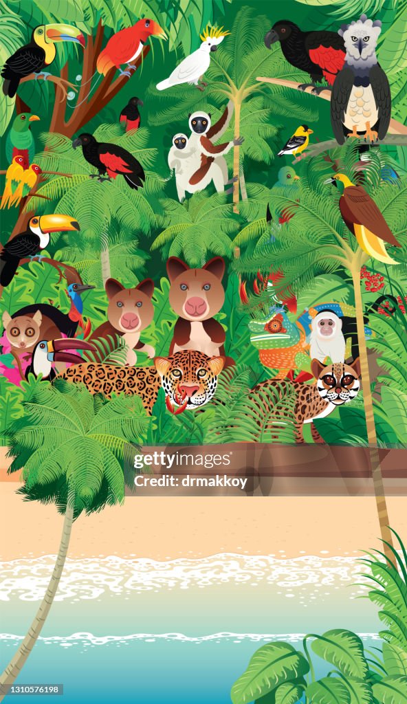 Beach and Tropical animals