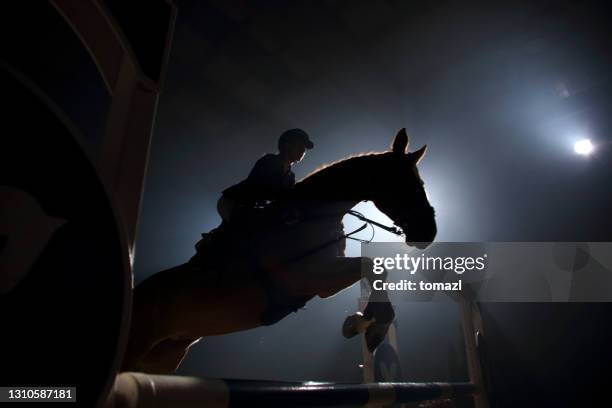 silhouet van een paard en een ruiter die over hindernis springen - steeplechasing horse racing stockfoto's en -beelden