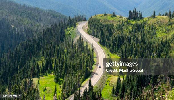 hurricane ridge in washington state's olympic national park - tacoma stock pictures, royalty-free photos & images