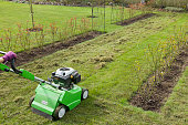 Scarifying lawn, scarification or lawn maintenance, UK