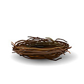 Bird's nest isolated on white background for your creativity