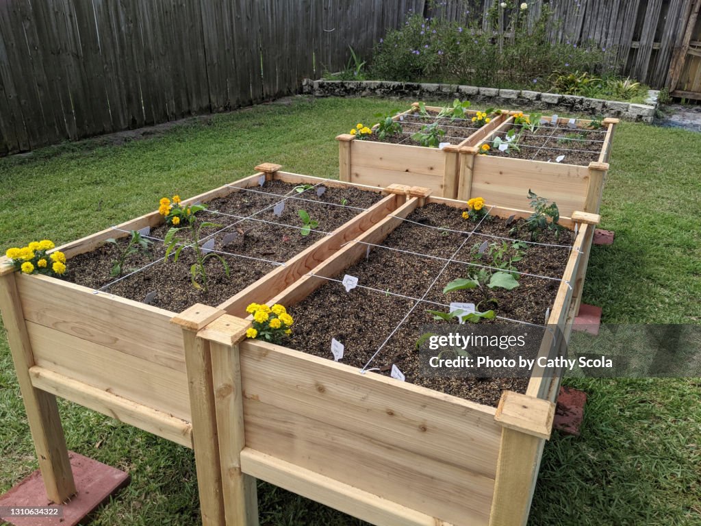 Container gardening