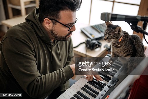 150 fotos de stock e banco de imagens de Cat Playing Piano - Getty