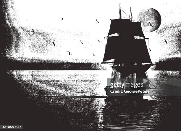 stockillustraties, clipart, cartoons en iconen met lang schip - pirate boat