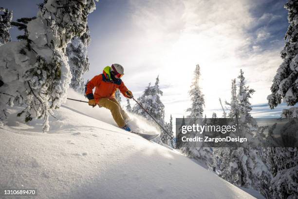 sci in polvere - vacanza sulla neve foto e immagini stock