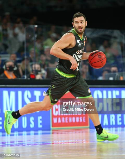 Adam Gibson of the Phoenix dribbles the ball during the round 12 NBL match between the South East Melbourne Phoenix and the New Zealand Breakers at...