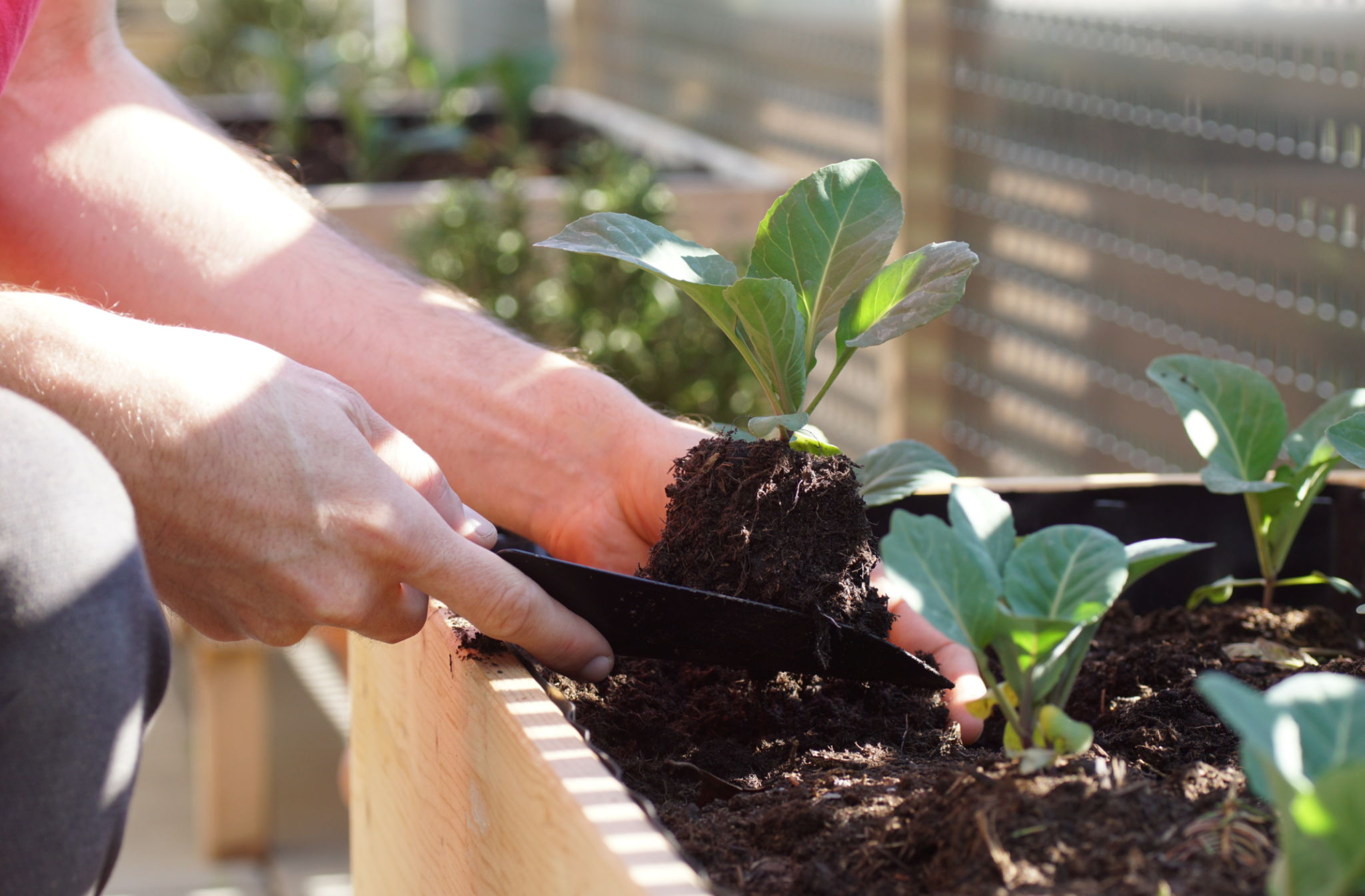 urban gardening tools