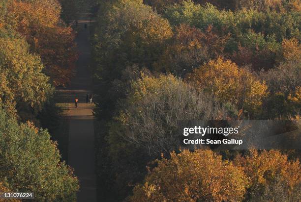 Jogger runs through Tiergarten park among trees rich in fall foliage on November 1, 2011 in Berlin, Germany. Northern Germany is currently...
