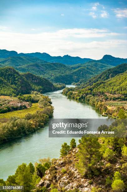 the ebro river, valley, mountains and forests, against a sunny blue sky with clouds - ebro river - fotografias e filmes do acervo