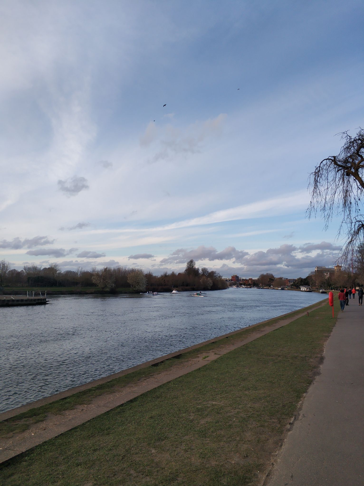 surbiton park
