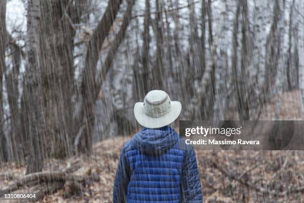 alone in the forest, torrential rain - wandern regen stock-fotos und bilder