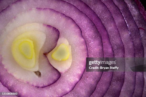 red onion - red onion stockfoto's en -beelden