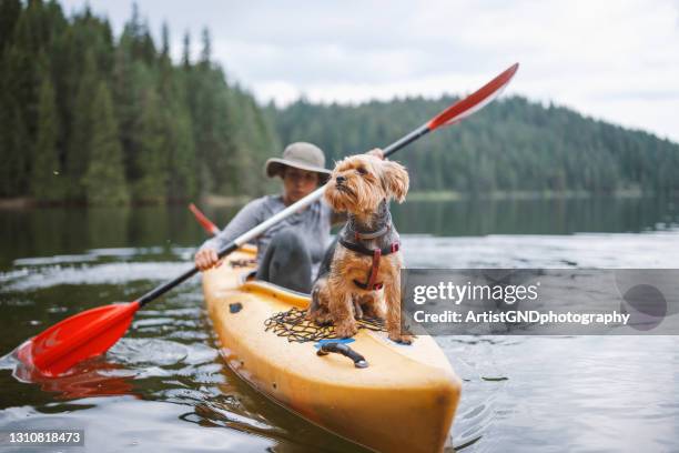jóvenes aventuras mujer kayak y divertirse con su pequeño perro lindo. - deporte acuático fotografías e imágenes de stock