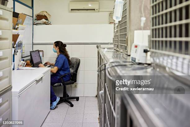 young female veterinary technician working on desktop pc - confined space worker stock pictures, royalty-free photos & images