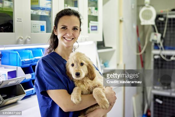 retrato interior de técnico veterinario y perro joven - female animal fotografías e imágenes de stock