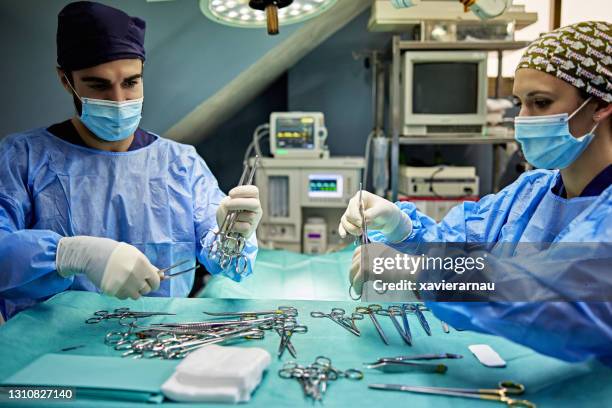 veterinary surgical team organizing instruments - surgical equipment stock pictures, royalty-free photos & images