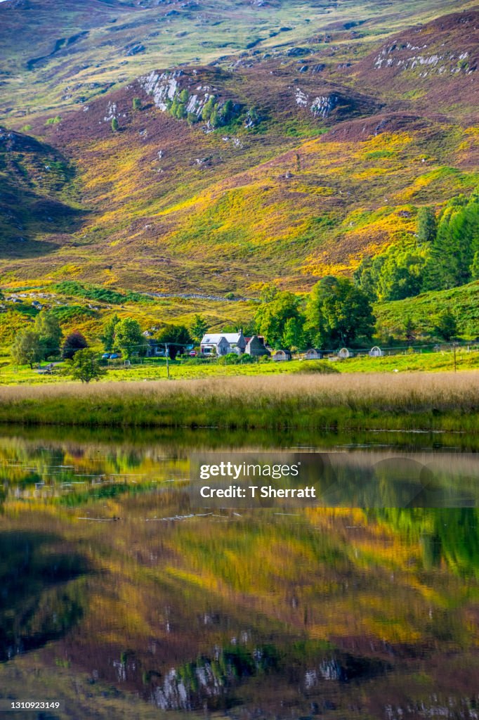 Glen Cannich highlands 2