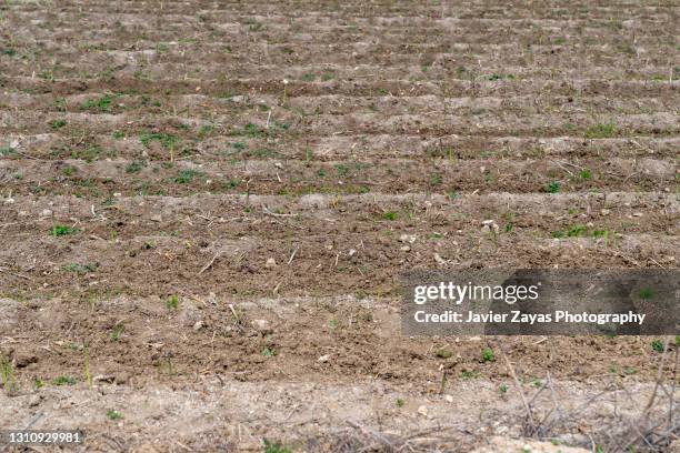 full frame shot of cracked dry land - drought agriculture stock pictures, royalty-free photos & images