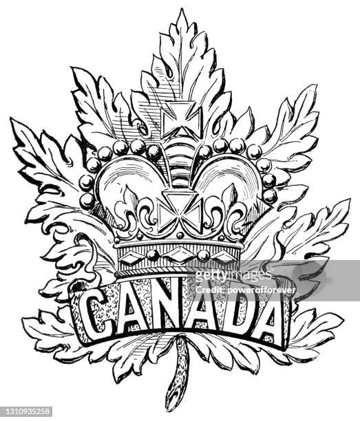 kanadische miliz abzeichen aus dem zweiten burenkrieg - 19. jahrhundert - south africa v canada stock-grafiken, -clipart, -cartoons und -symbole
