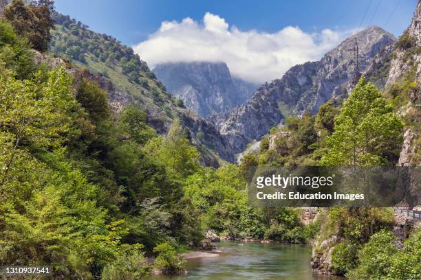 Typical mountain scenery, Asturias, Spain.