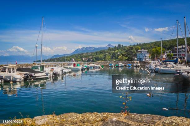 Evian-les-Bains, Haute-Savoie department, Rhone-Alpes, France. Pleasure craft in port on Lake Geneva .