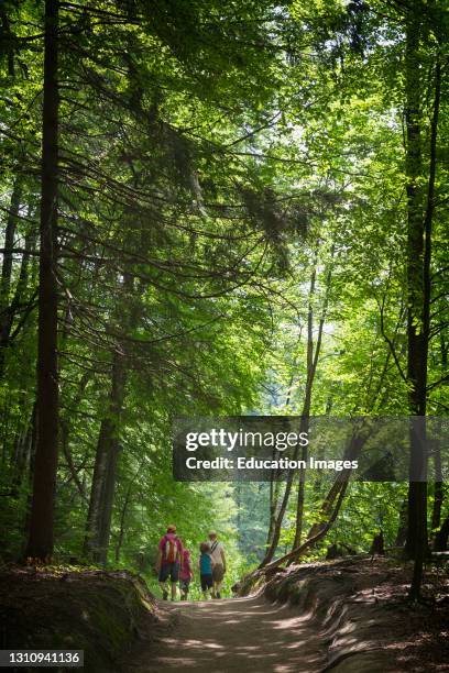 Plitvice Lakes National Park, Lika-Senj County and Karlovac County, Croatia. Visitors strolling on dirt trail in the park. The Park is a UNESCO World...