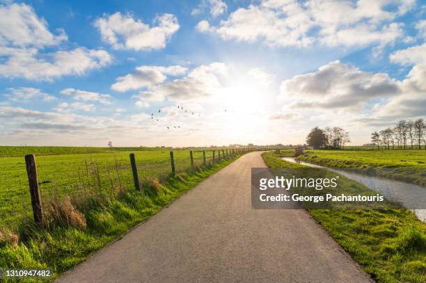 bright sun on a road in the countryside - netherlands stockfoto's en -beelden