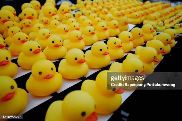 group of yellow rubber duck - rubber duck ストックフォトと画像