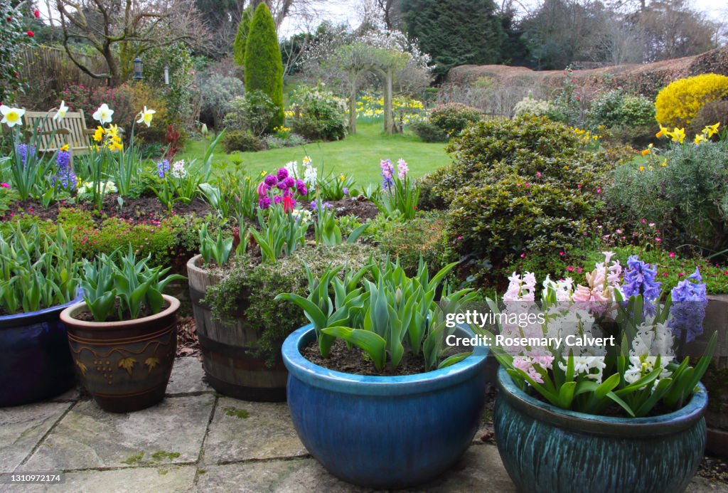 English domestic garden full of spring flowers.