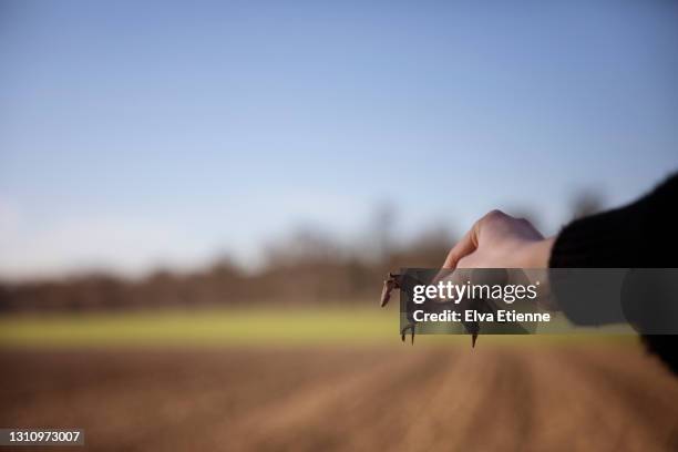 paper origami horse held in front of an agricultural field in the hand of a teenager - paper sculpture stock-fotos und bilder