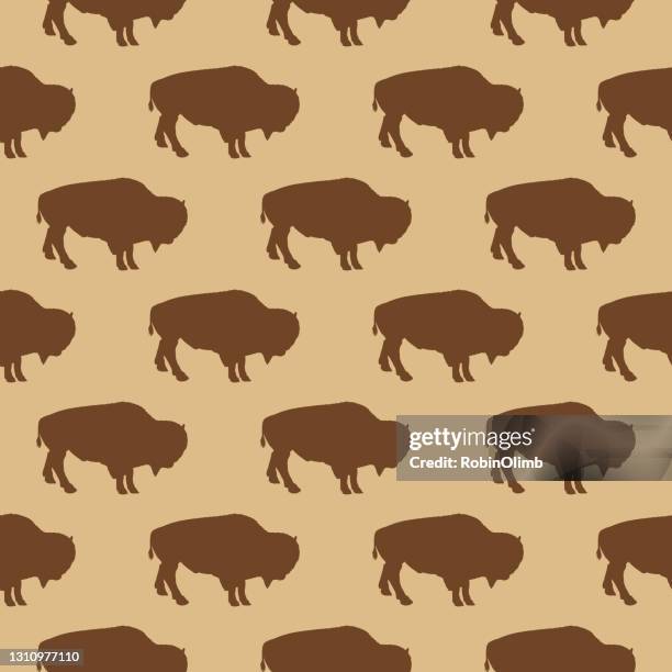 buffalo seamless pattern - african buffalo stock illustrations