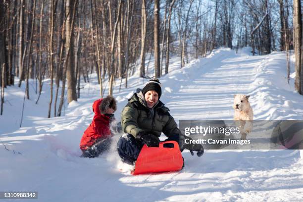 father and son sledding down snowy hill with their dog on winter day. - animal sledding fotografías e imágenes de stock