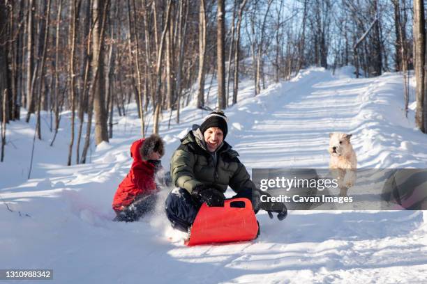 father and son sledding down snowy hill with their dog on winter day. - dog chasing man stock pictures, royalty-free photos & images