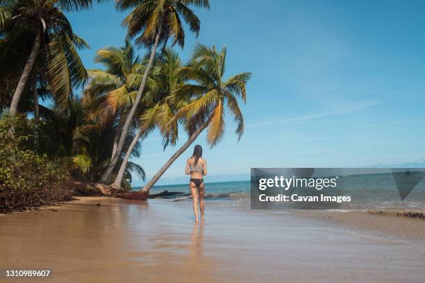 girl and palm trees relaxing on puerto rican beach - puerto rico fotografías e imágenes de stock