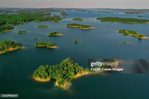 tiny islands dot the coastline of lake ouachita, ak - ozark mountains stockfoto's en -beelden