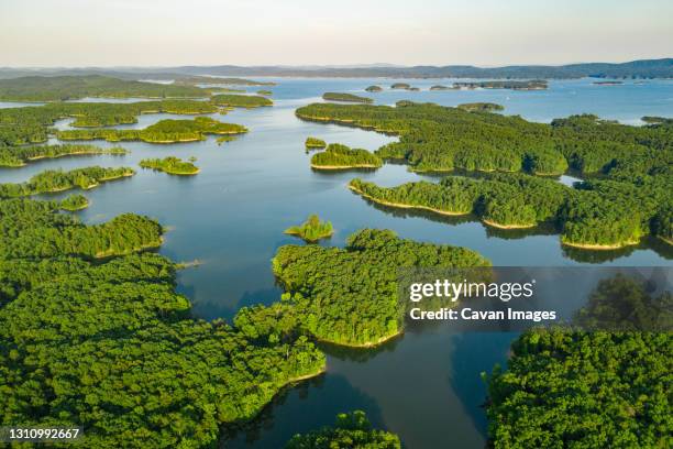 tiny islands dot the coastline of lake ouachita, ak - ozark mountains fotografías e imágenes de stock