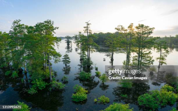 morning aerial reflections on beaty lake - ozark mountains stockfoto's en -beelden