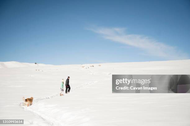 father and daughter walking dog through deep snow under blue sky - ketchum idaho stock-fotos und bilder