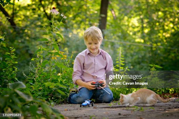 little blond boy playing with kitten and remote control car. - remote controlled car fotografías e imágenes de stock